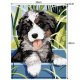 Maaleo Paint by Numbers 40x30 cm, Dog