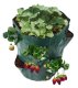 Strawberry planting bag with drainage holes for fruit bushes, green