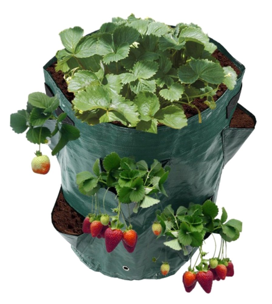 Strawberry planting bag with drainage holes for fruit bushes, green (2)