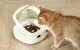 Petoneer NutriCare Smart RFID Pet Feeder with Cooling Bowl PF009