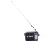Portable Radio RDD RD-306 FM / AM / SW with LED Flashlight, Black