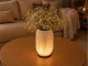 Decorative Table Lamp and Vase 2-in-1 LED RGB with Remote, Ecru