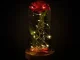 Eternal Rose in Glass Dome with LED Light - Red