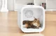 Smart Pet Dryer Catlink Standard CL-DA-01
