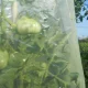 Tubular Tomato Ripening Film MR. TOMATO, 0.6 x 10 m, Yellow