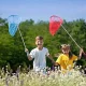 Telescopic Butterfly Net for Kids, Insect and Fish Catching, Orange