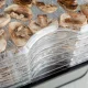 Eldom SG500 Food Dehydrator for Mushrooms and Fruits, 245W