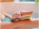 Natural Bristle Body Massage Brush for Dry and Wet Use