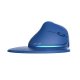 Delux M618XSD BT+2.4G RGB Wireless Vertical Ergonomic Computer Mouse, Blue