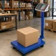 Electronic Platform Scale 100kg LCD Blue
