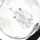 Gift Set Decanter and Whiskey Glasses Globe, 850 ml
