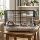 Petsi Cage for Small Rodents, Hamsters, Mice, Black