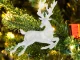 Transparent Reindeer Christmas Tree Ornament with Glitter, 13 cm