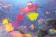 An inflatable children\'s colorful water mat for babies, octopus - 62x45 cm