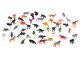 Educational Different Animals 48 pcs
