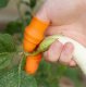 Thumb protector with knife and 5 finger guards, orange