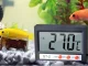 Digital Thermometer with Probe for Aquarium, Fridge and Terrarium, 100 cm Cable