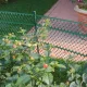 Plastic-Coated Metal Fence Post 1m, 16mm, Green