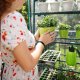 Portable Mini Greenhouse Warm House for Indoor Outdoors with 4-Tier Shelf for Garden/Patio/Backyard (69 x 49 x 160 cm)