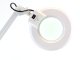 Professional Cosmetic Lamp with Magnifying Glass 22W