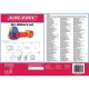 Kruzzel 3in1 Kids Tent 23871