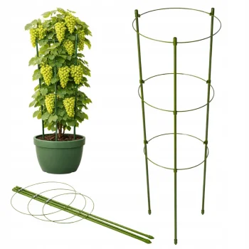Plant Support Ring 120cm with 3 Hoops DIVODV