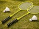 Badminton Racket Set 2 Pack with Carrying Cover, Green