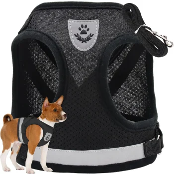 Black Harness with Leash for Dogs and Cats, Size S