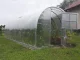 Greenhouse Klasika 24 (3X8M) With Bases And 4Mm Polycarbonate; 4779037490233