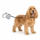 Retractable Dog Leash, 5m, Up to 15kg, Black