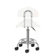 Activeshop 6001 Cosmetic Salon Stool with Backrest, White