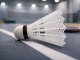 Durable Nylon Badminton Shuttlecocks 5-Piece Set for Training, White
