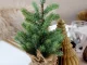 Small Artificial Christmas Tree 50cm Mini Tabletop Desk Decoration