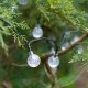 Solar Garden Lights Balls Garland 7m 50LED, Cold White