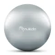 Nukido NS-951 Pregnancy and Exercise Ball 65 cm Grey
