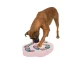 Interactive Dog Puzzle Toy, Treat Dispensing Brain Game for Enrichment