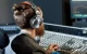 Oneodio Pro 50 Wired Headphones, Grey