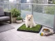 Puppy Training Toilet with Artificial Grass, 3 Layers, 63x43 cm