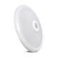 Maclean LED Ceiling Lamp with Motion Sensor and Battery, 12W, Neutral