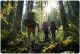 Neo-Sport NS-380 Telescopic Trekking Poles 65-135 cm