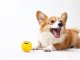 Squeaky Rubber Dog Ball Chew Toy with Funny Face, 6.5 cm