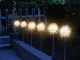Solar Garden LED Lamps Dandelion Firework 70cm, Warm Light, 2 Pcs