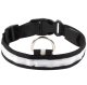 LED Light Up Dog Collar, Adjustable 46-54 cm, Black
