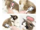 Silicone 3-in-1 Brush for Dog and Cat Hair Grooming and Washing
