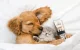 Oneisall P2 Pet Trimmer / Clippers + Scissors + Comb Set (Gold)