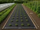 DIVODV Anti-Weed Landscape Fabric 50g/m² 1.5m x 50m, Black