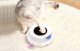 Rojeco Interactive toy for cats (kittens) with lights and ball
