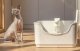 Cheerble Smart Odor Eliminator for Cats Dogs with Infrared Sensor, White