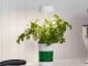 Self Watering Pot Plant Lamp, 6 LED 4 UV