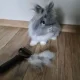 Purlov 20427 Double-Sided Undercoat Rake for Dogs and Cats, Deshedding Tool